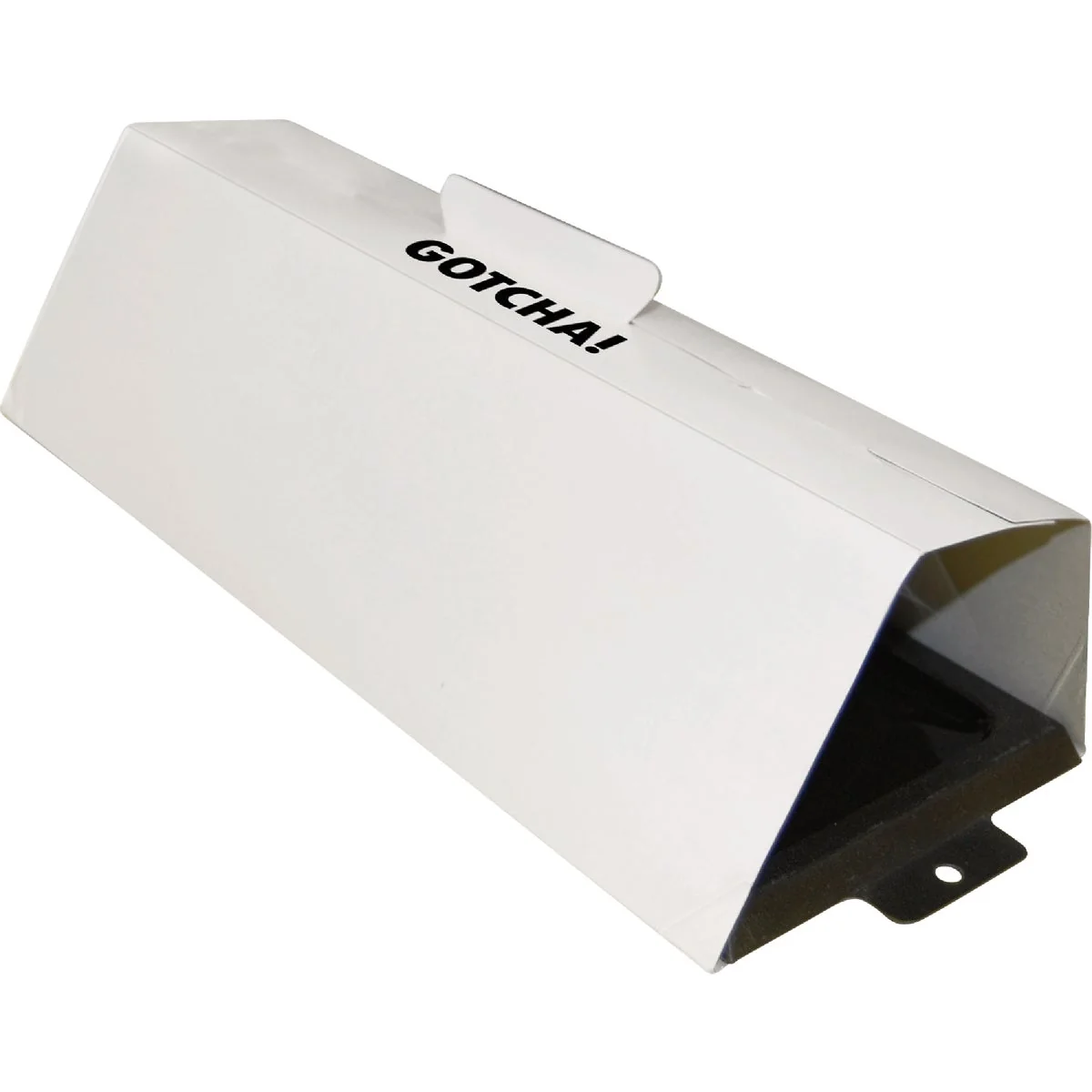 Reusable Intruder The Better GlueTrap with Canopy 4-Pack Proven