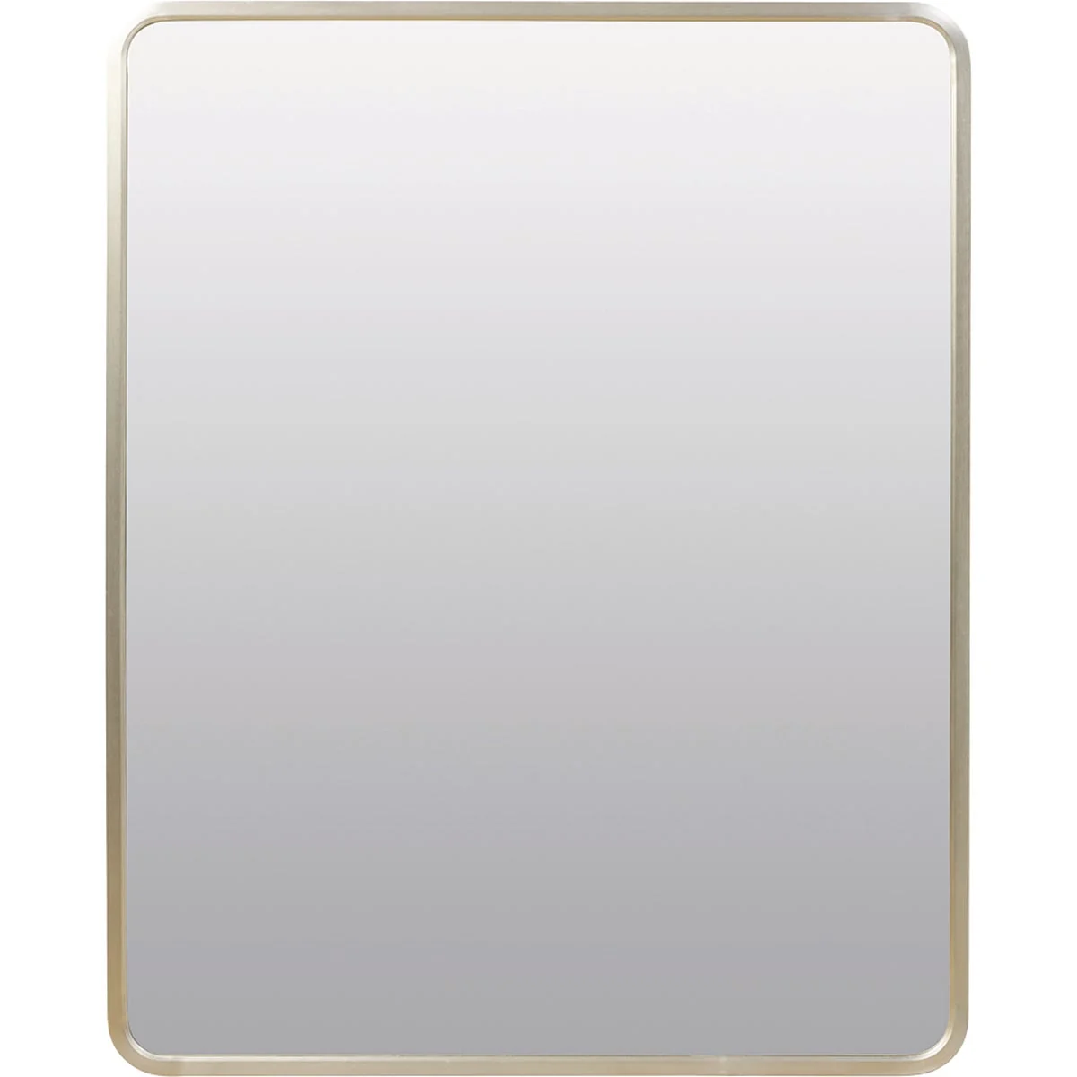 Next-Generation Zenna Home Designer Series Brushed Nickel 24 In. W x 30 In. H x 5 In. D Single Mirror Surface Recess Mount Rectangle Medicine Cabinet Smart