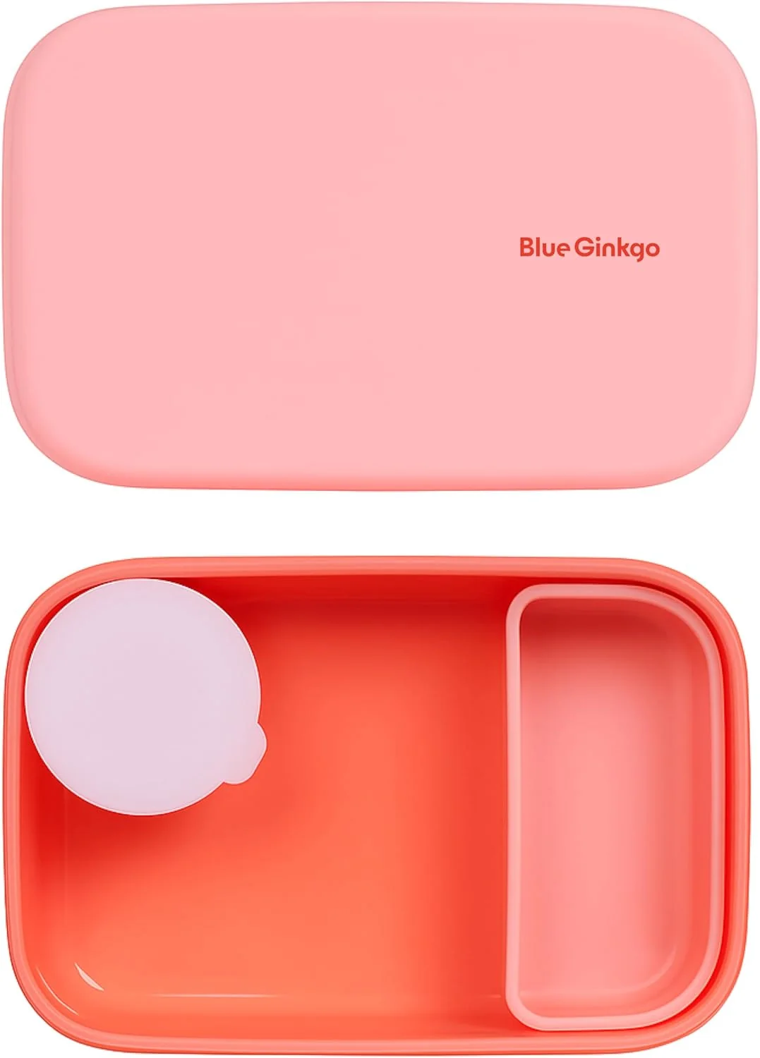 Healthy Blue Ginkgo Silicone Lunch Box Set – Durable Heavy-Duty Silicone Bento Box Microwave zer Dishwasher Safe – Airtight BPA Made in Korea Powerful