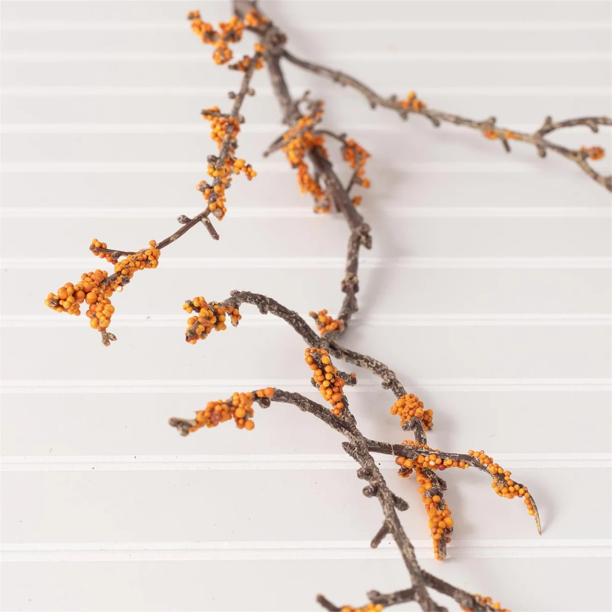 Green Orange Berries Mini Cluster Branch Sustainable