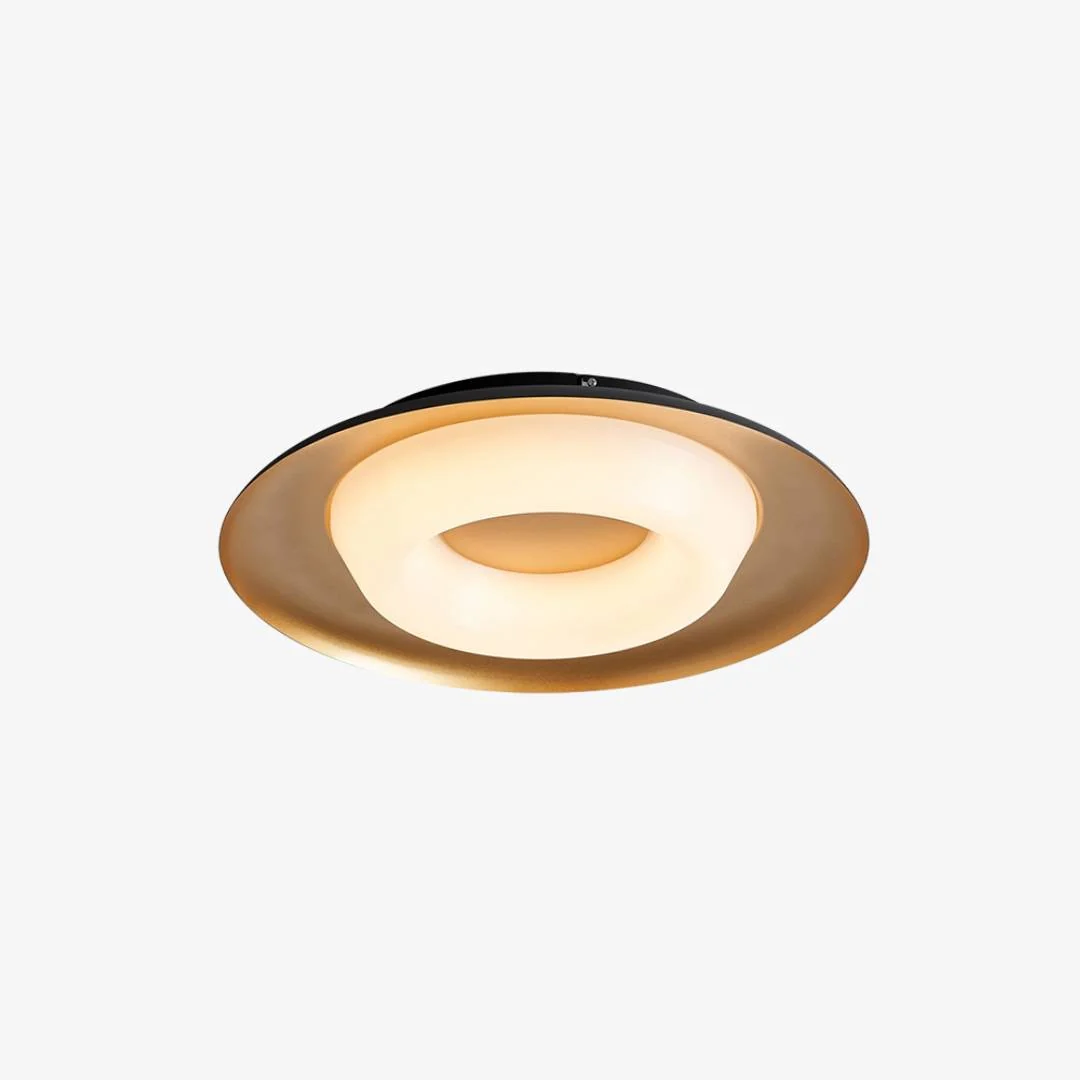 Eco-Friendly Creativity Donut Ceiling Lamp Stylish