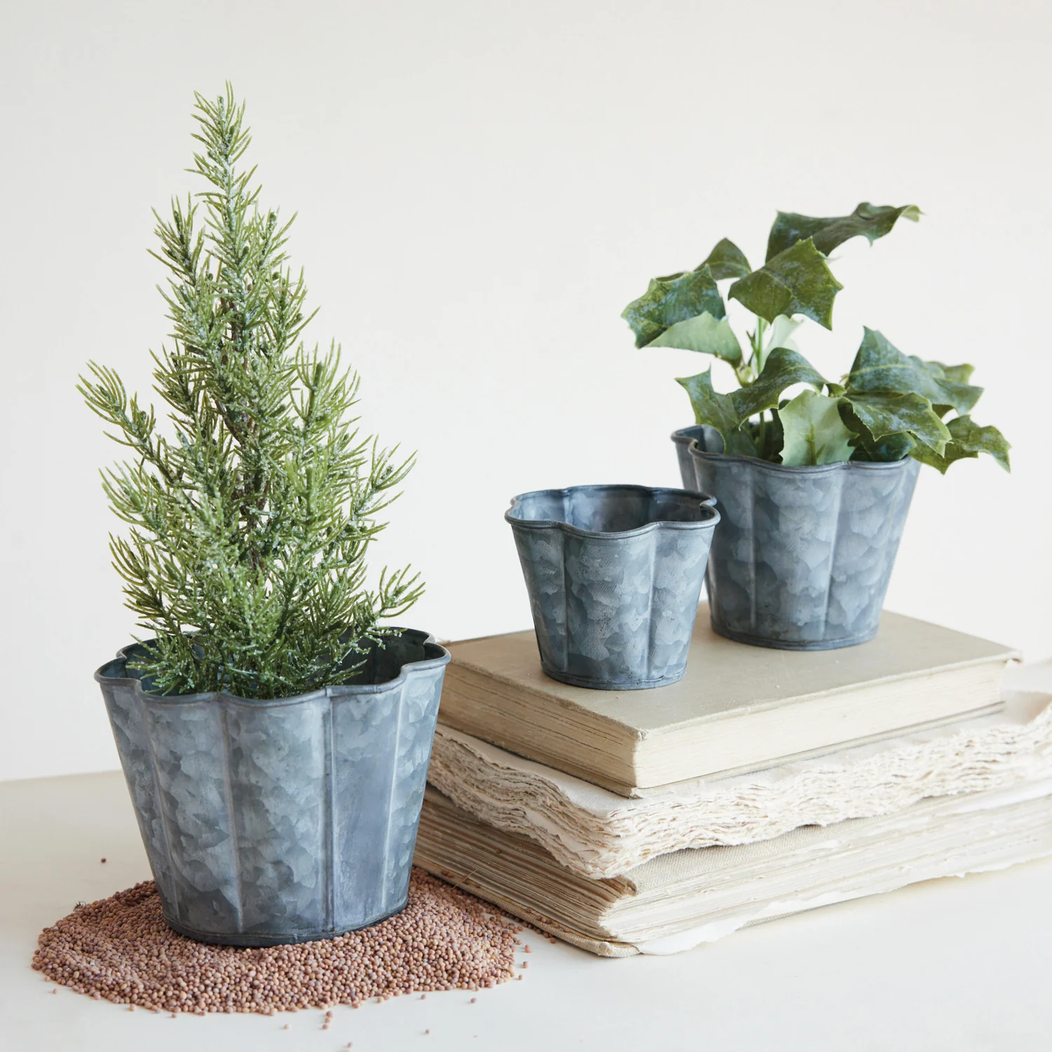 Certified Galvanized Metal Scalloped Planter High-End