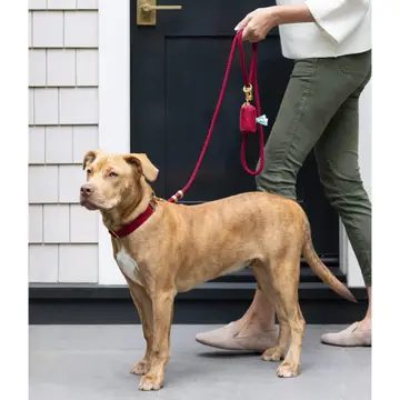 Healthy Wine Waxed Canvas Dog Poop Bag Dispenser Consistent