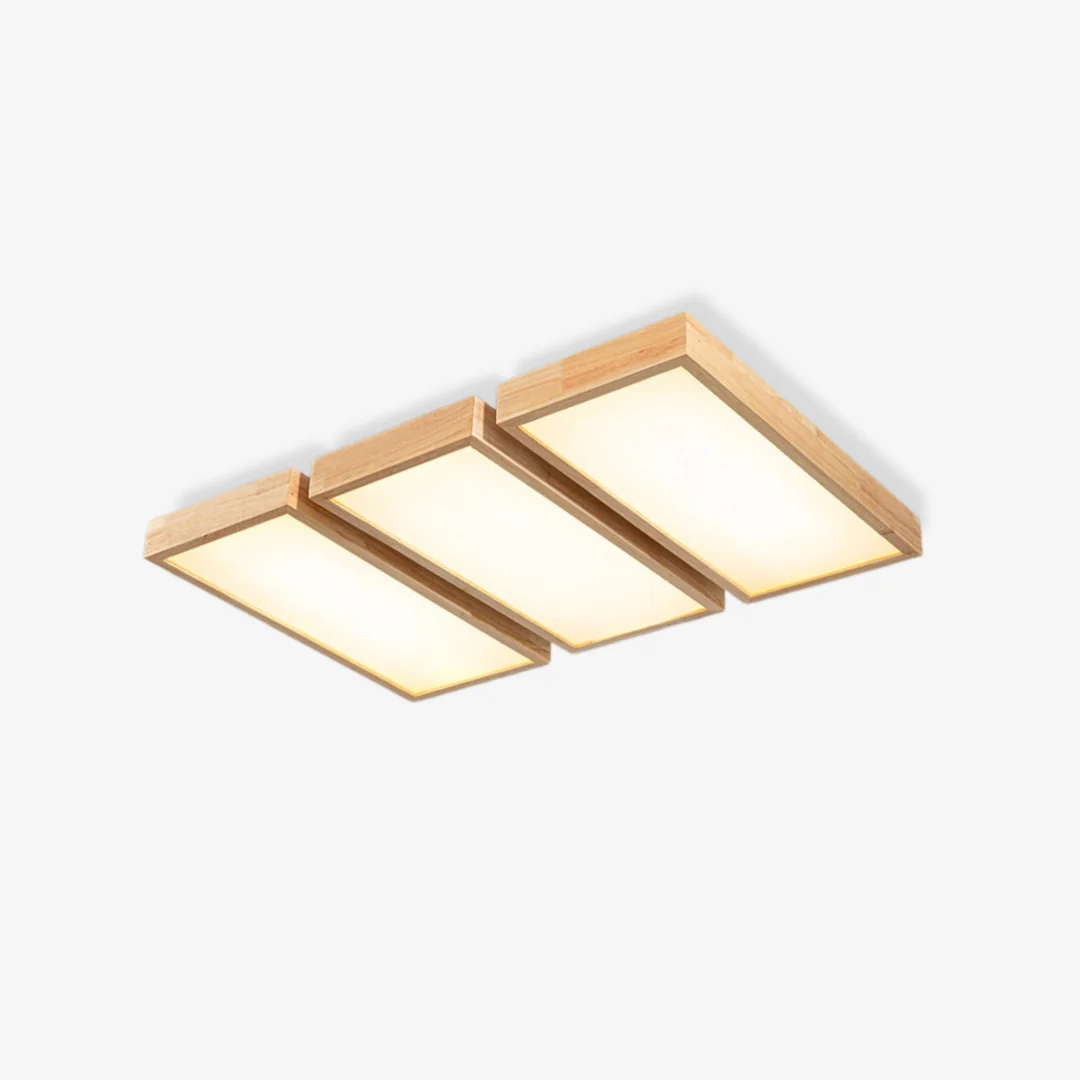 Secure Kaysa Ceiling Lamp Premium