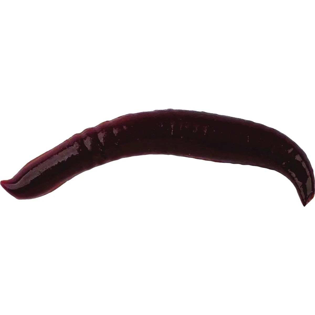 Smart Berkley Gulp 1 In. Pinched Crawler Nightcrawler 14-Pack Minimalist