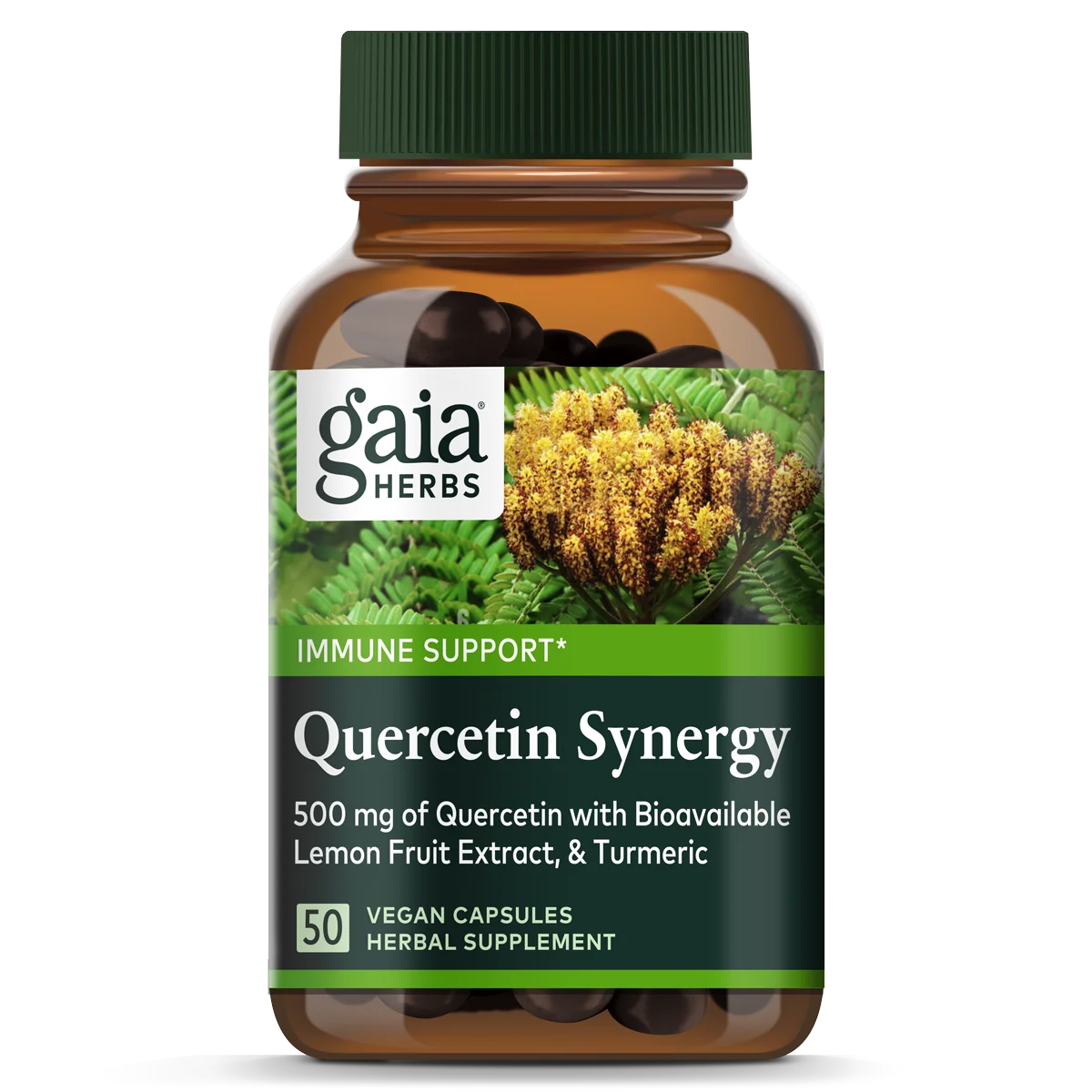 Outstanding Gaia Herbs Quercetin Synergy – For Immune Support Reusable