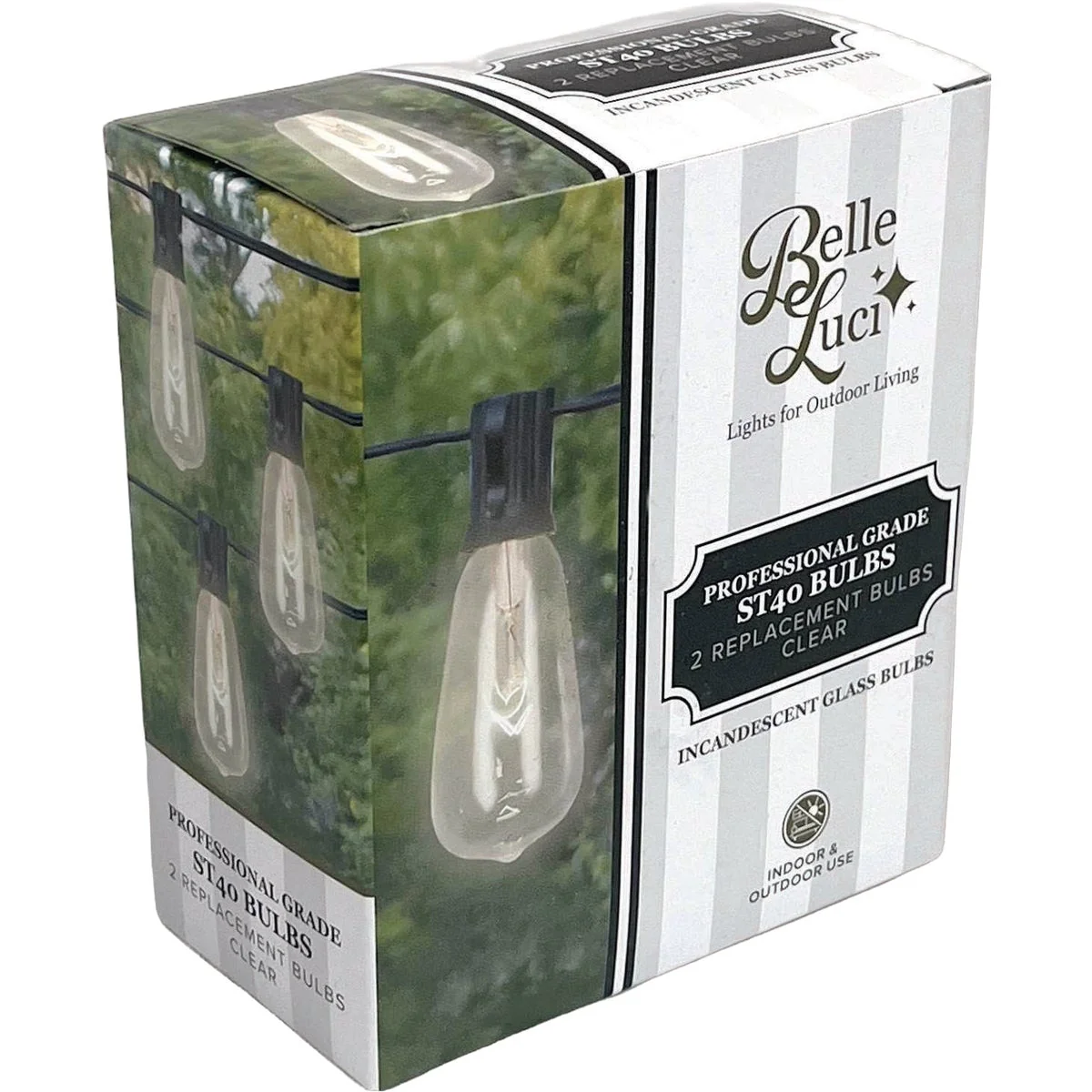 Stylish Holiday Bright Lights Belle Luci ST40 E17 Base Clear Edison Incandescent Bulb 2-Pack Selected