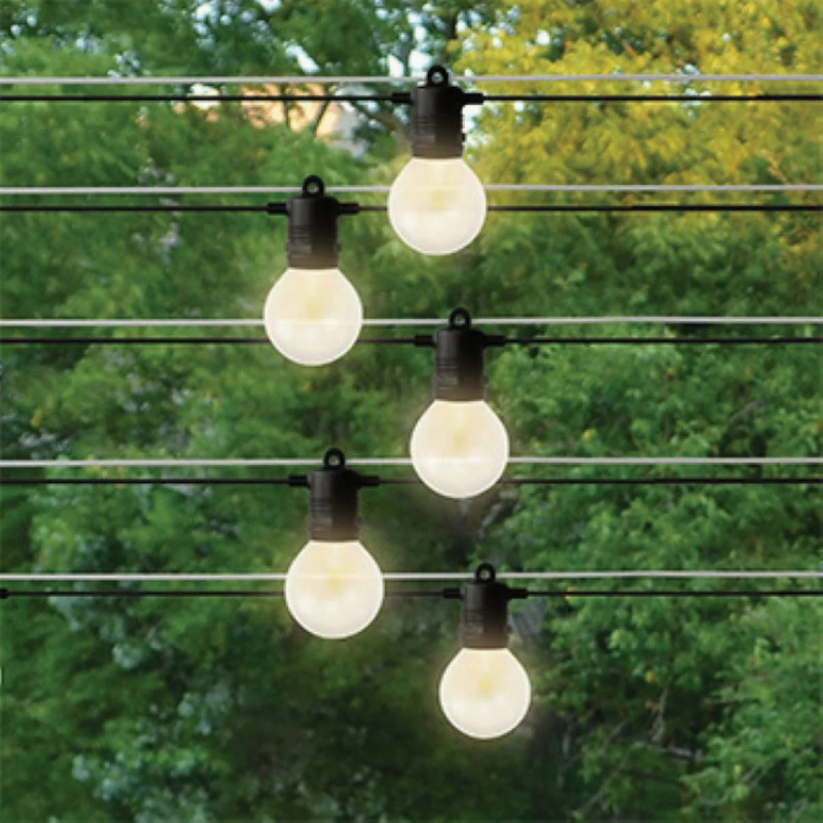 Modern Holiday Bright Lights Belle Luci 12-Bulb G50 Warm White Transparent LED Light Kit Smooth