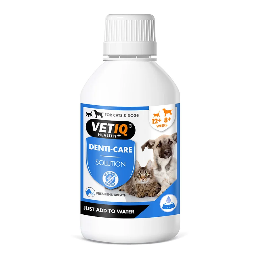 Elegant VetIQ Denti-Care Liquid for Cat Dog 250ml Outstanding