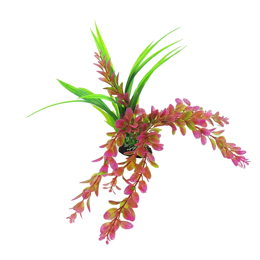 Trusted Classic Aquatics Plant Pink Green Medium High-Quality