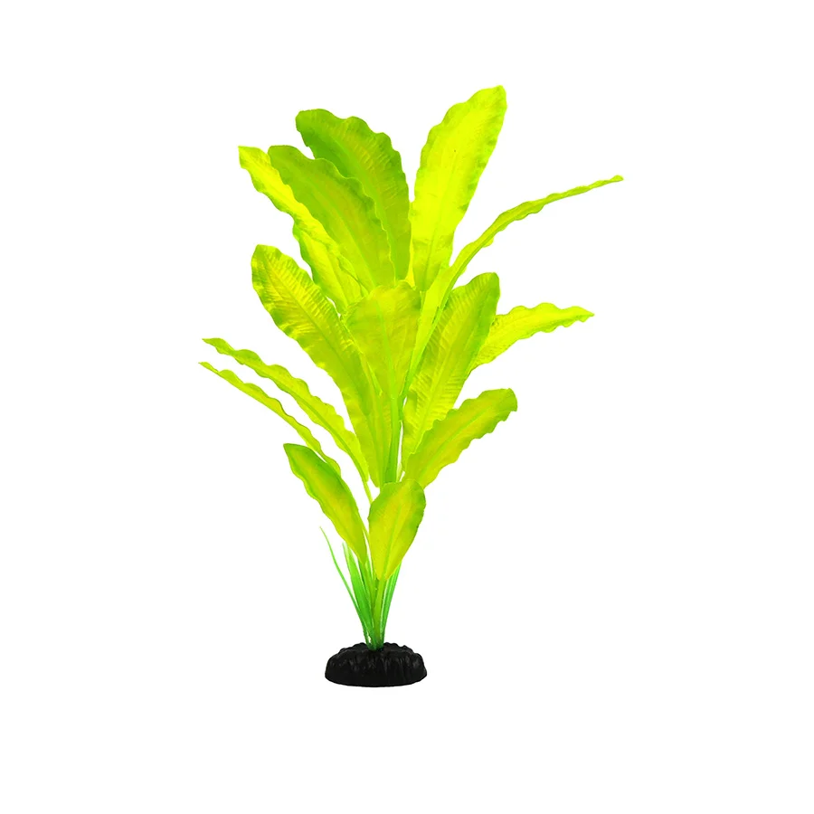 Environmentally Friendly Classic Aquatics King Sword Plant Large Artisan